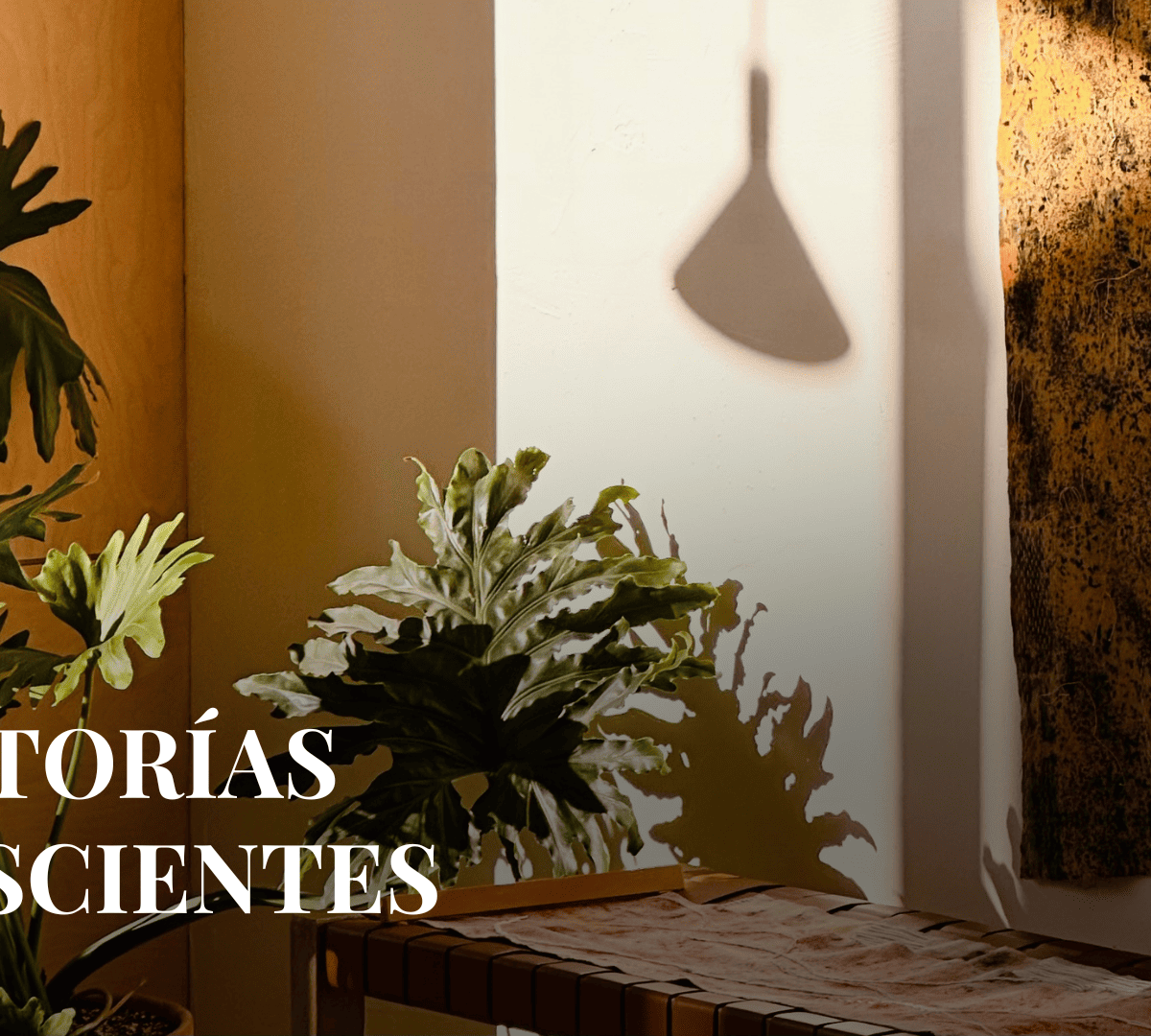MENTORÍA CONSCIENTE - PAQUETE